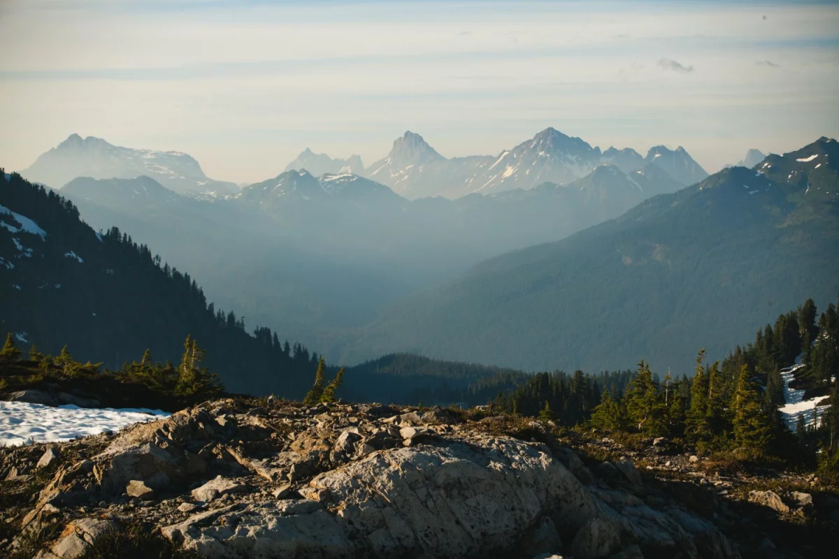 Oni Nie Chcą Abyś Dowiedział Się Jak zdobyć certyfiakt ecovadis!